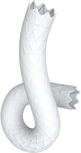 stent