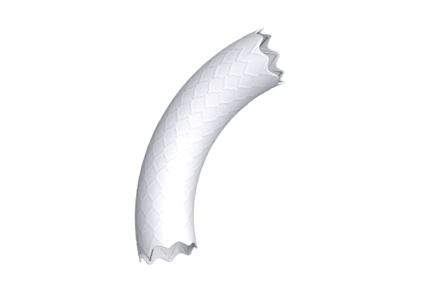 BeGraft Aortic. Стент-графт аортальный BeGraft с баллонным катетером (системой доставки)