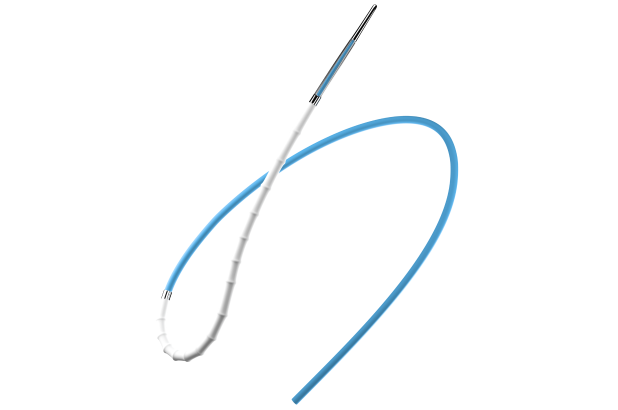 BeGraft Coronary. Стент-графт коронарный BeGraft с системой доставки