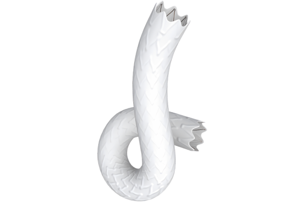 BeGraft Peripheral. Стент-графт периферический BeGraft с баллонным катетером (системой доставки)